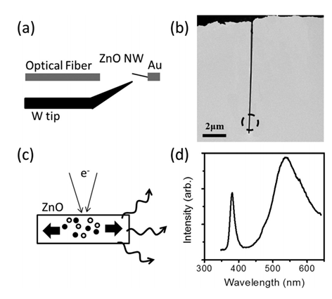 原位透射电子显微镜光学-光电测量系统应用案例(图1)