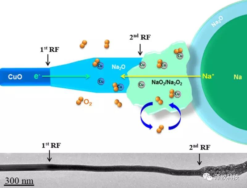 Nano Letter：泽攸科技原位系统应用于固态氧钠电池