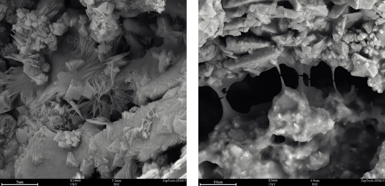 ZEM20台式扫描电镜在混凝土材料微观结构及性能研究中的应用(图7)