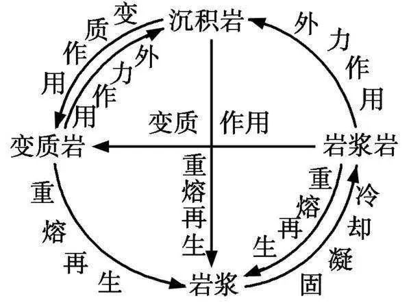 泽攸扫描电镜
