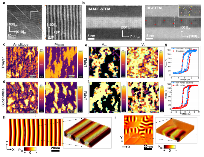 泽攸科技原位TEM 泽攸科技原位TEM