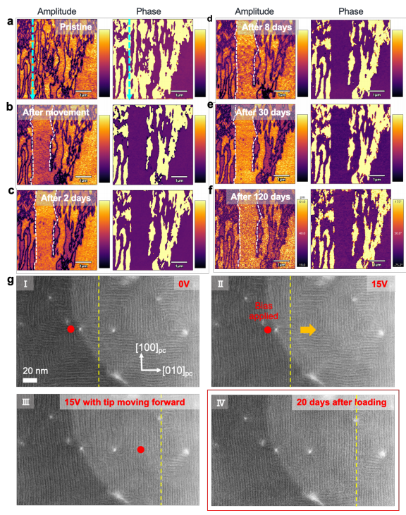 泽攸科技原位TEM 泽攸科技原位TEM