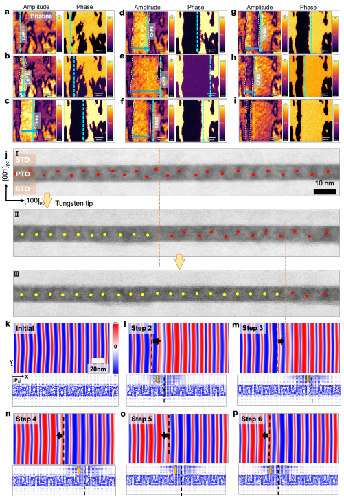 泽攸科技原位TEM 泽攸科技原位TEM