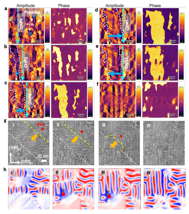 泽攸科技原位TEM 泽攸科技原位TEM