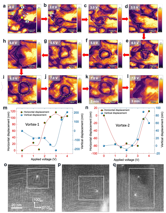 泽攸科技原位TEM 泽攸科技原位TEM