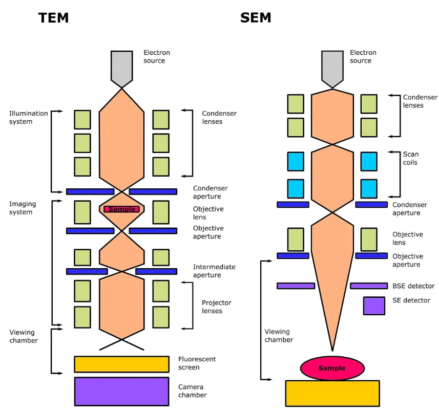 电子显微镜技术 电子显微镜技术