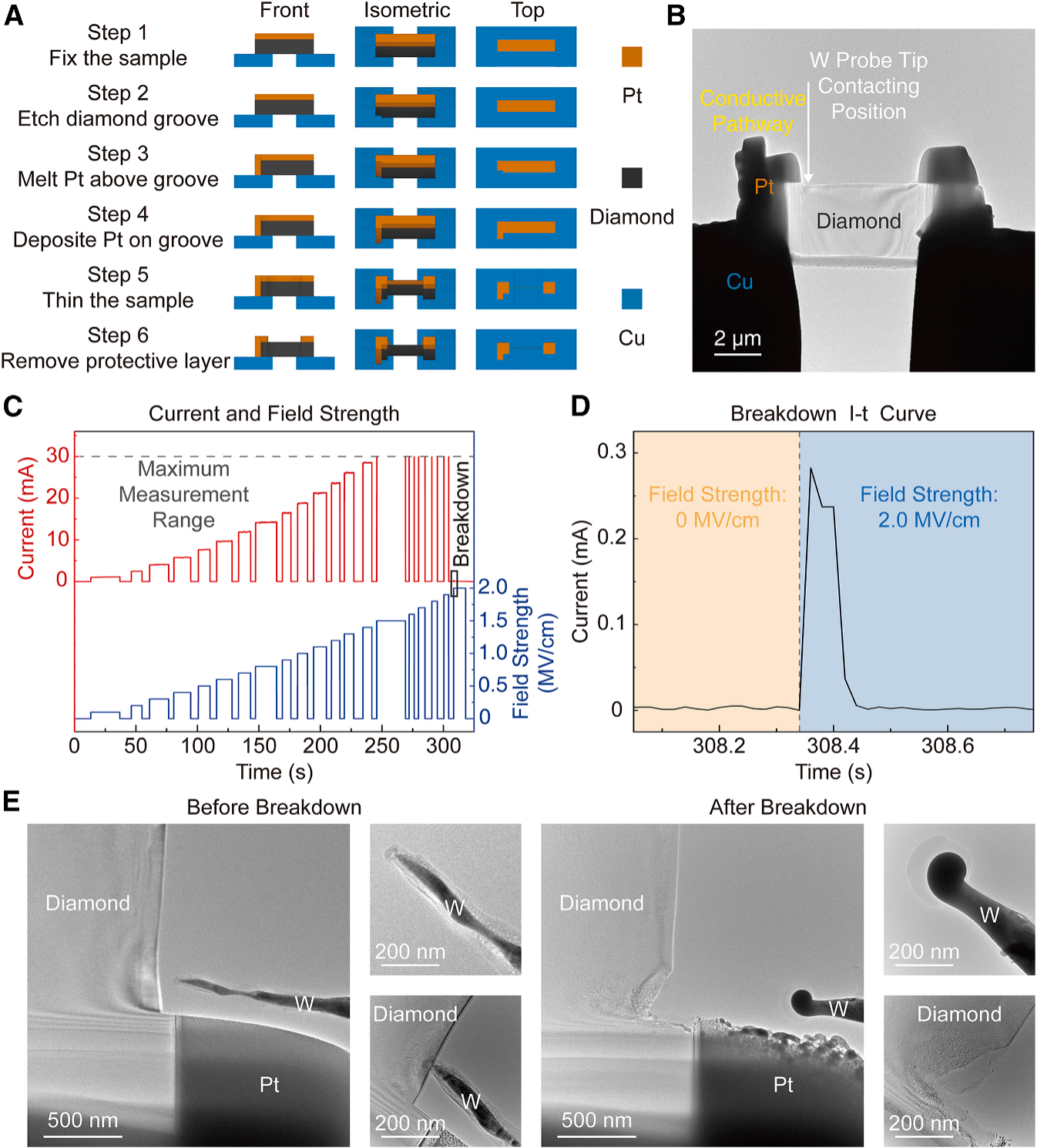 泽攸科技原位TEM 泽攸科技原位TEM