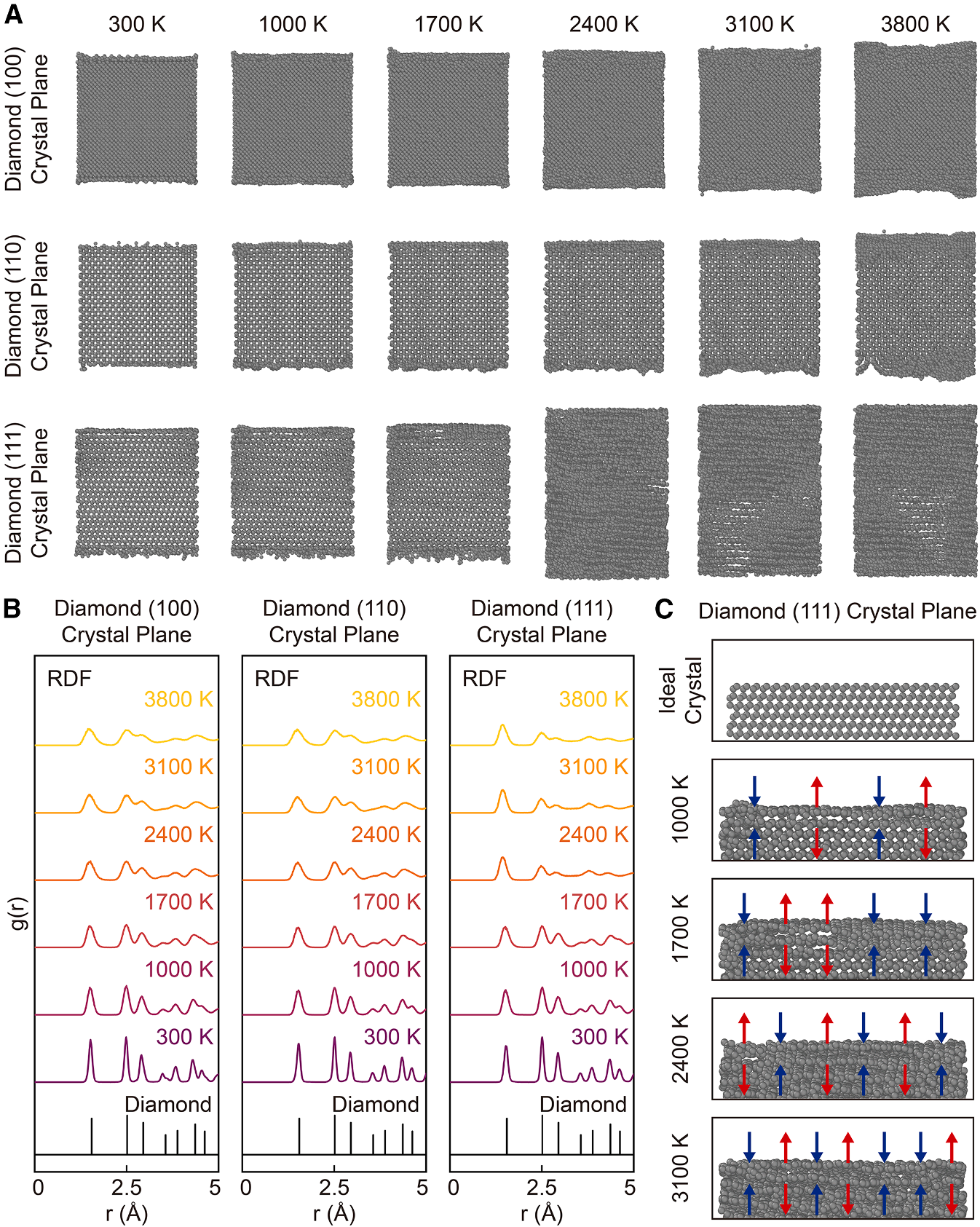 泽攸科技原位TEM 泽攸科技原位TEM