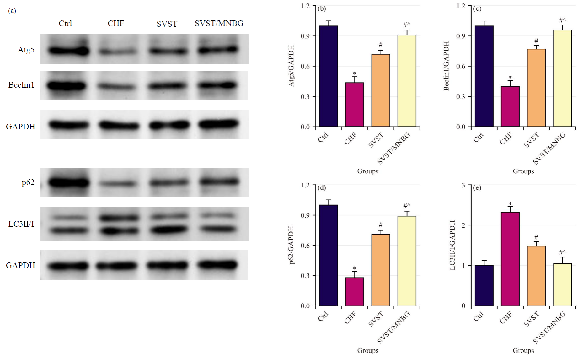 泽攸科技ZEM系列扫描电镜