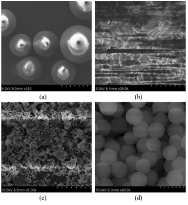 泽攸科技扫描电镜