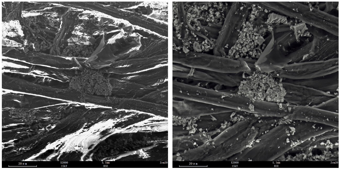泽攸科技扫描电镜