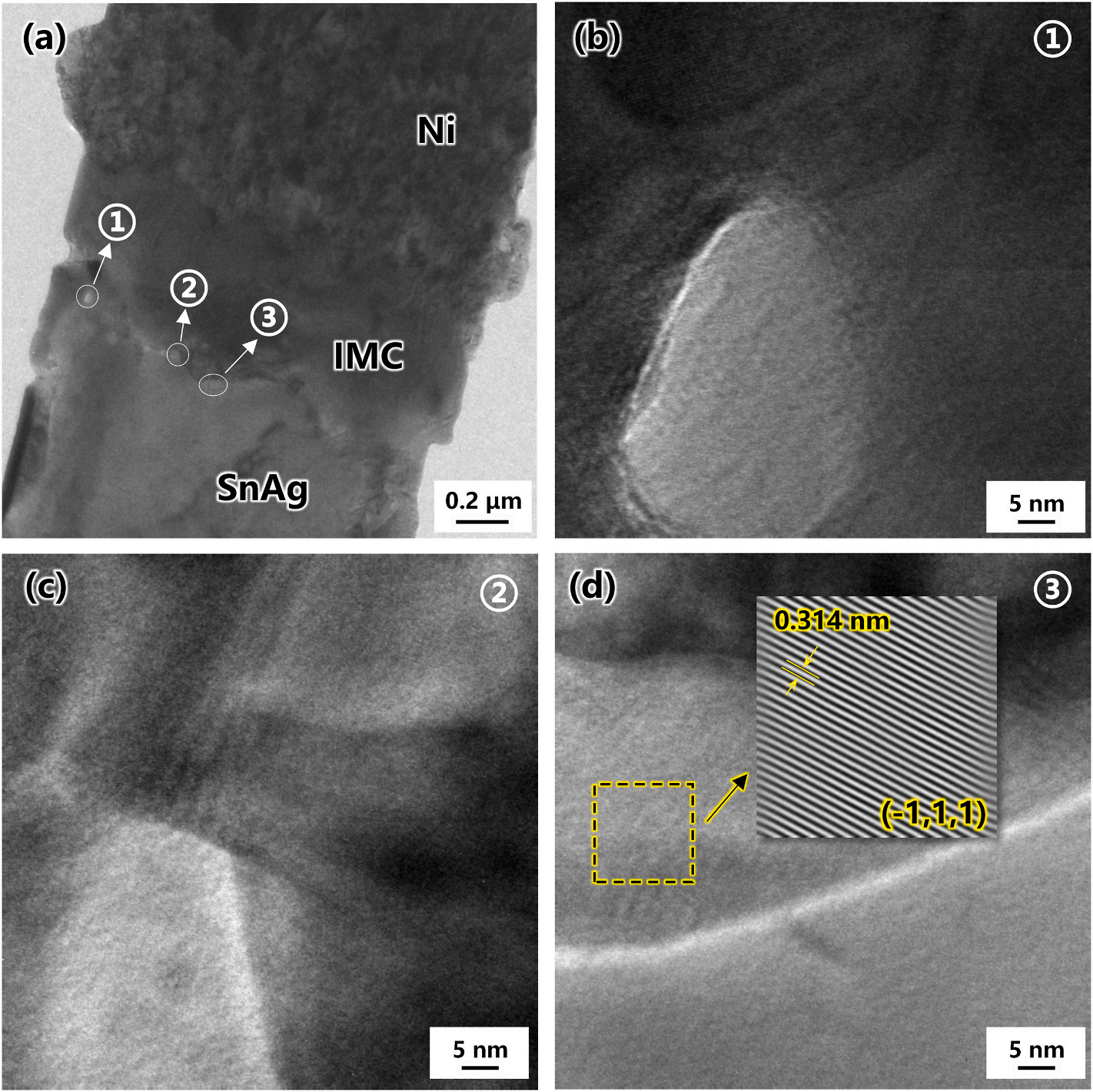 泽攸科技原位TEM
