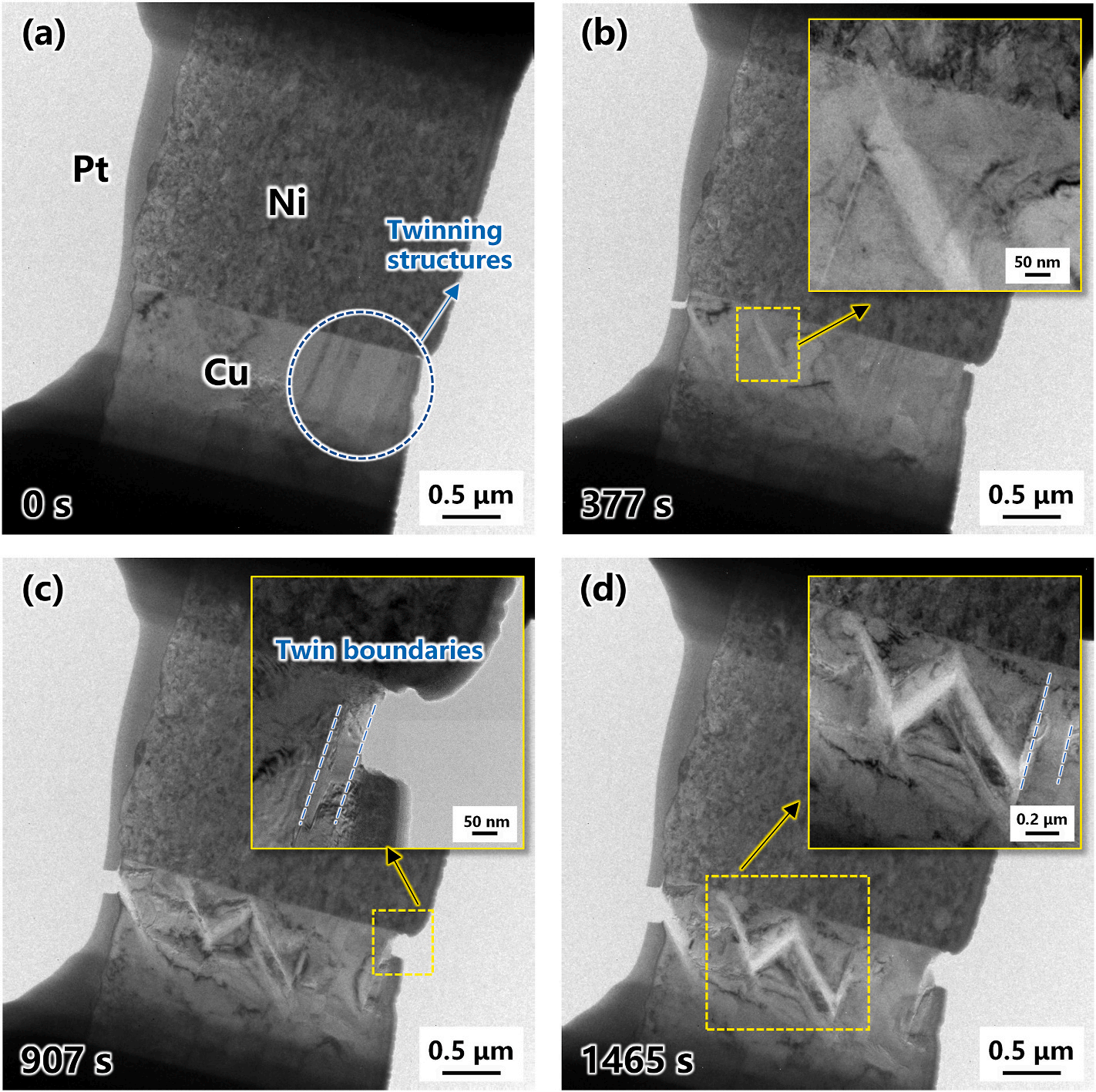 泽攸科技原位TEM