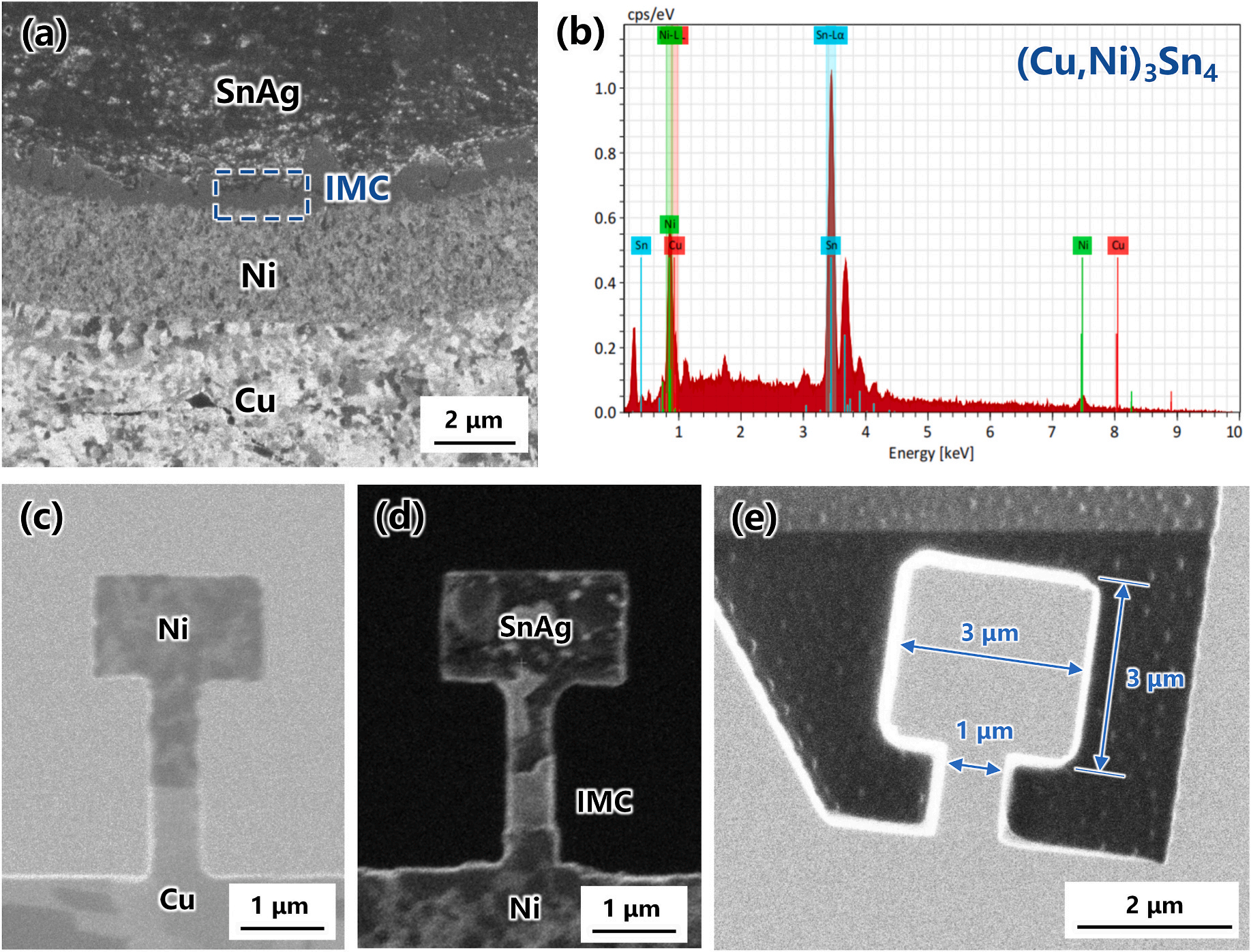 泽攸科技原位TEM