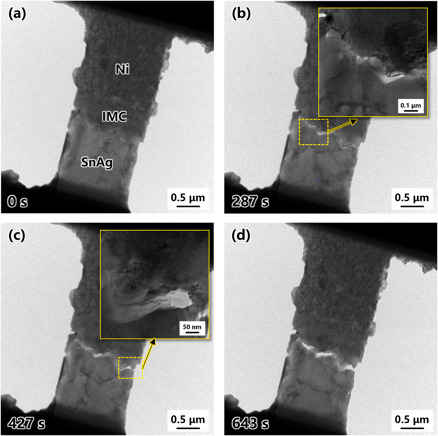 泽攸科技原位TEM