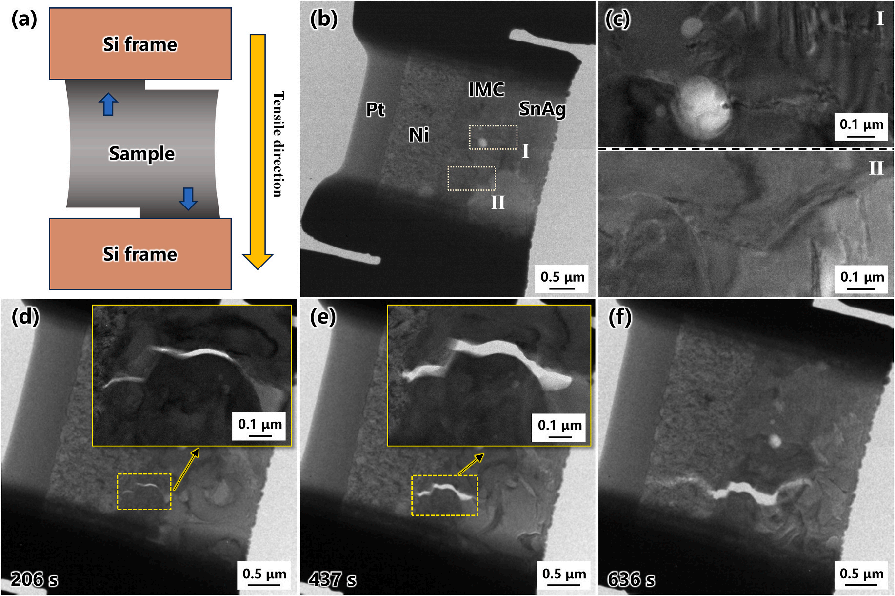 泽攸科技原位TEM