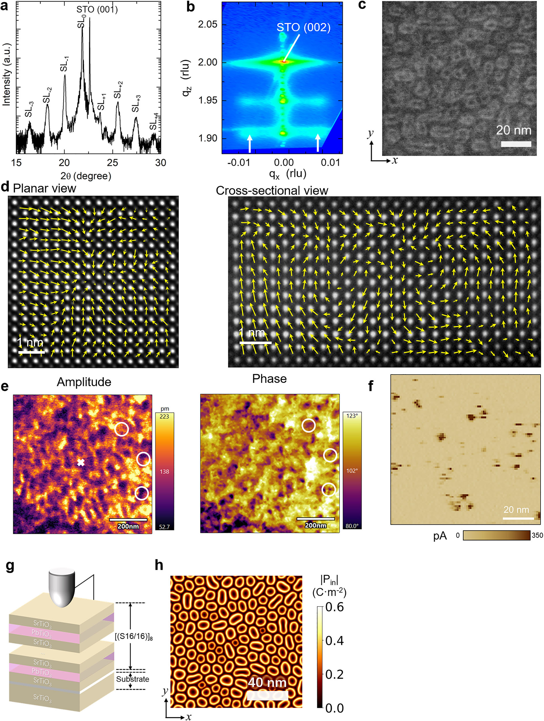 原位电子显微镜 原位电子显微镜