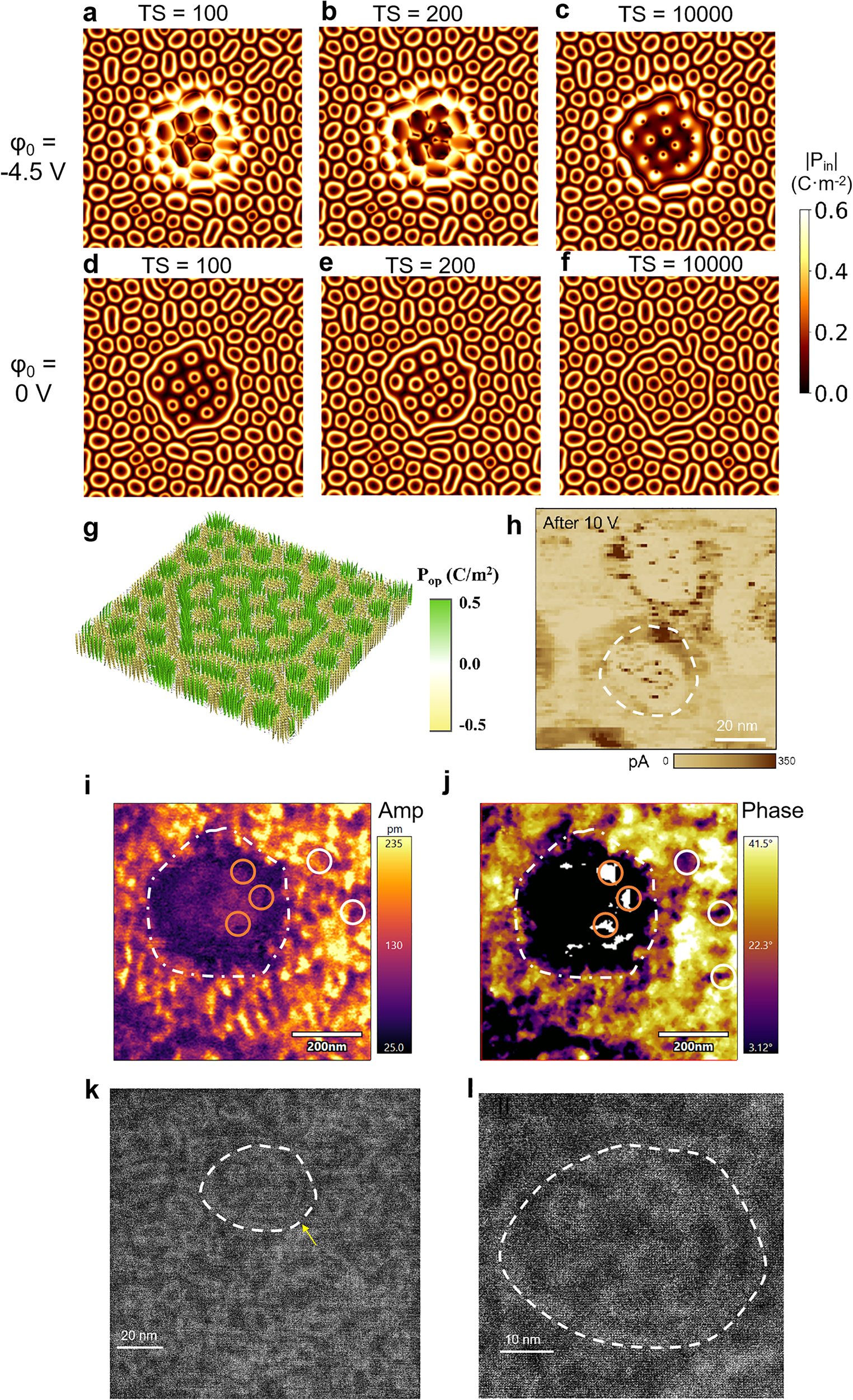 原位电子显微镜 原位电子显微镜