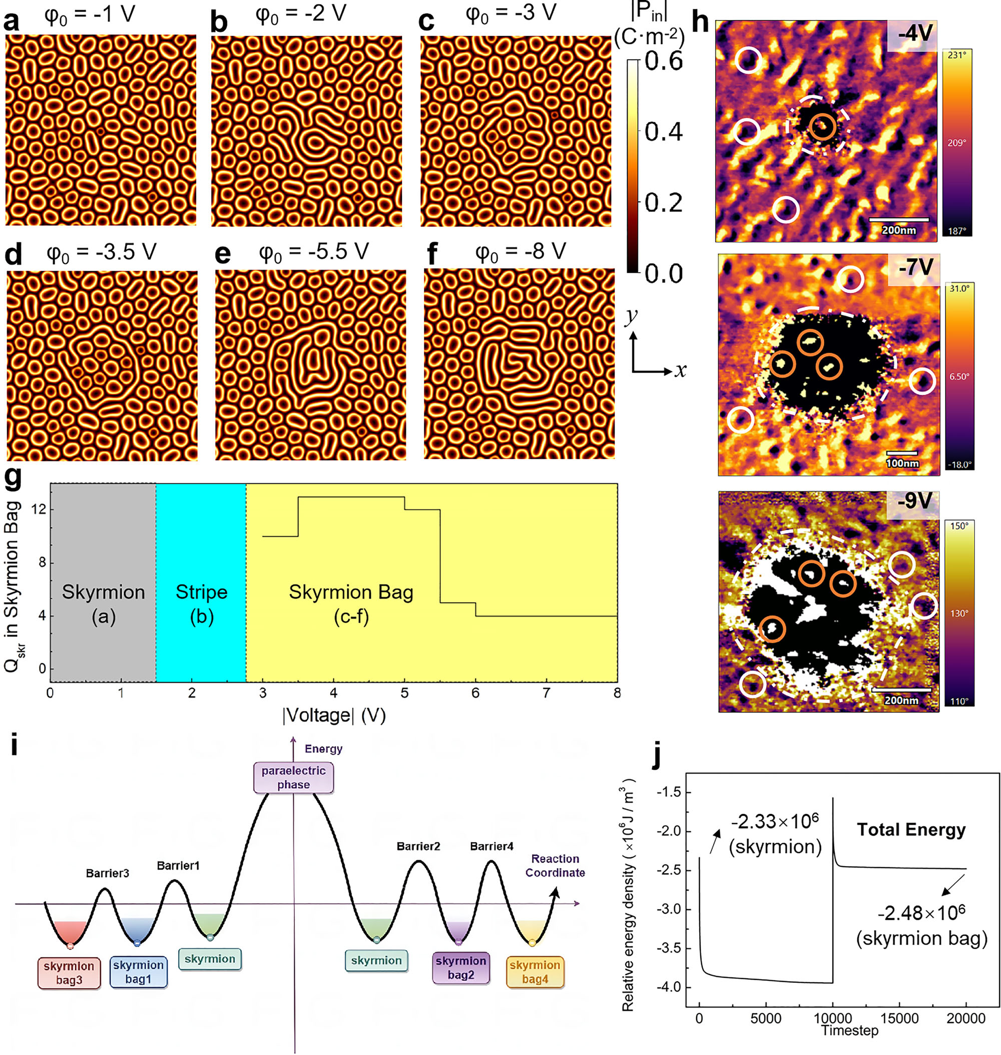 原位电子显微镜 原位电子显微镜