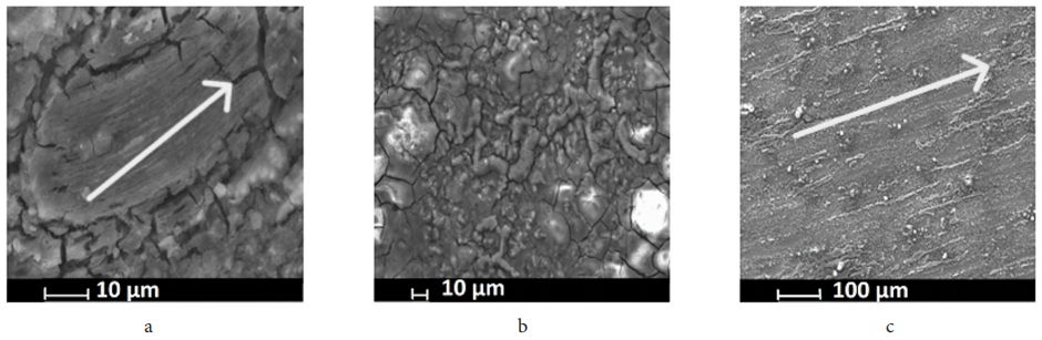泽攸科技ZEM系列扫描电镜
