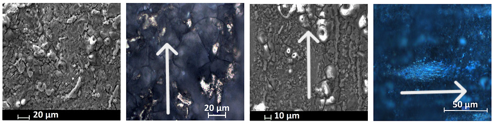 泽攸科技ZEM系列扫描电镜