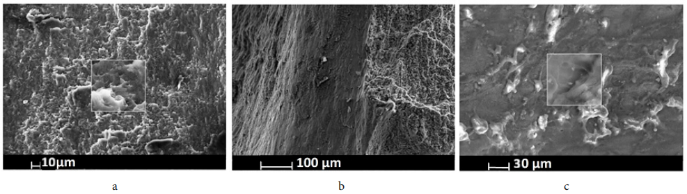 泽攸科技ZEM系列扫描电镜