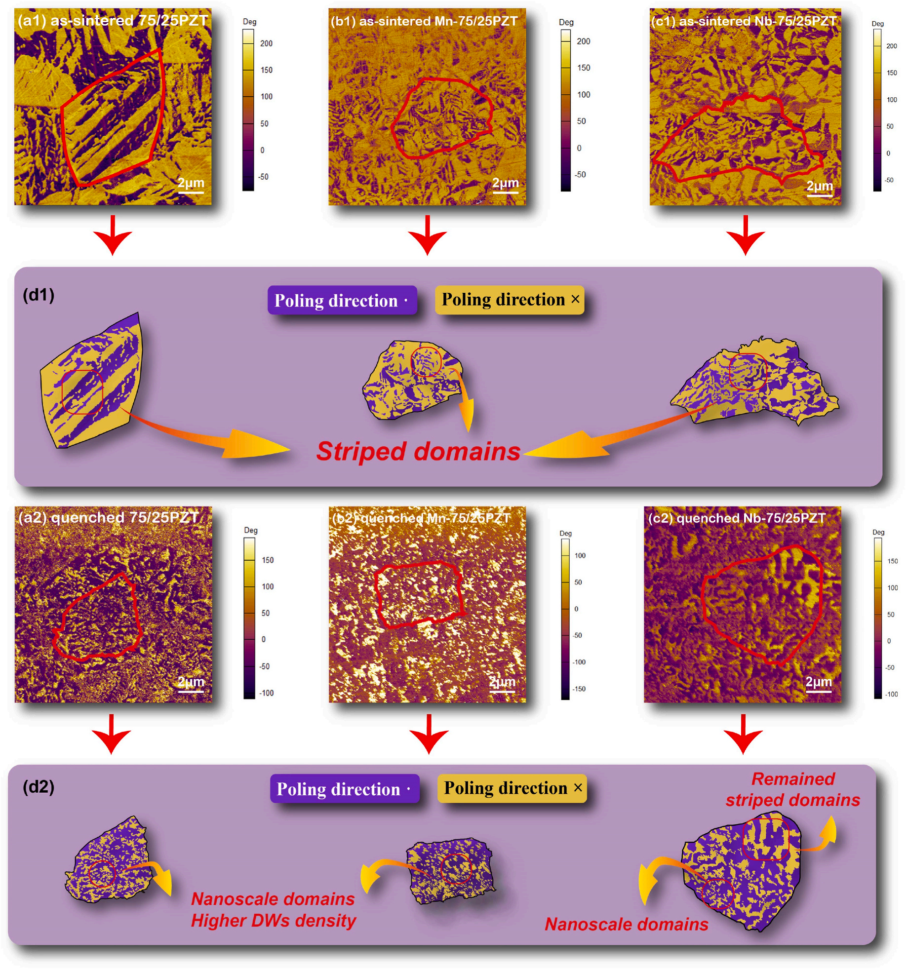 泽攸科技ZEM系列扫描电镜