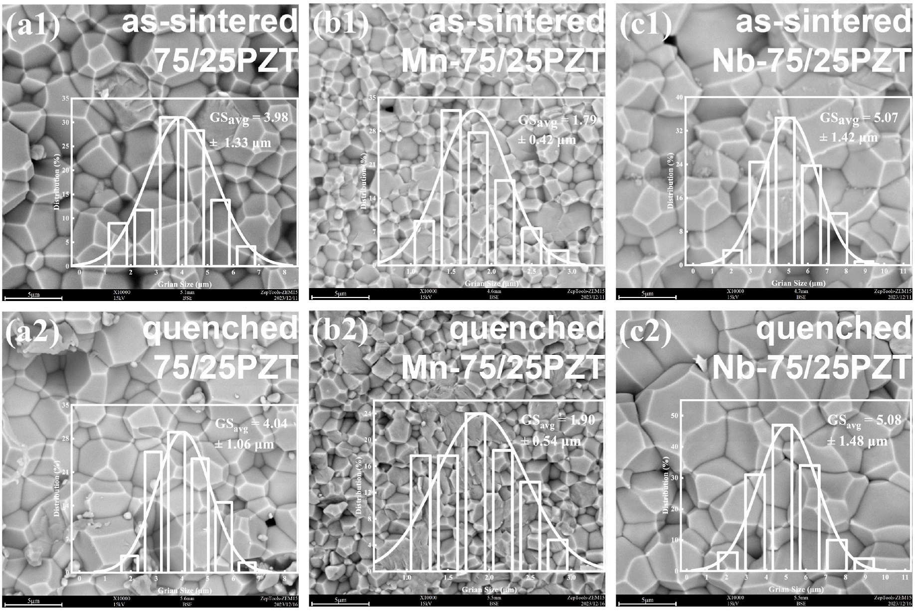 泽攸科技ZEM系列扫描电镜