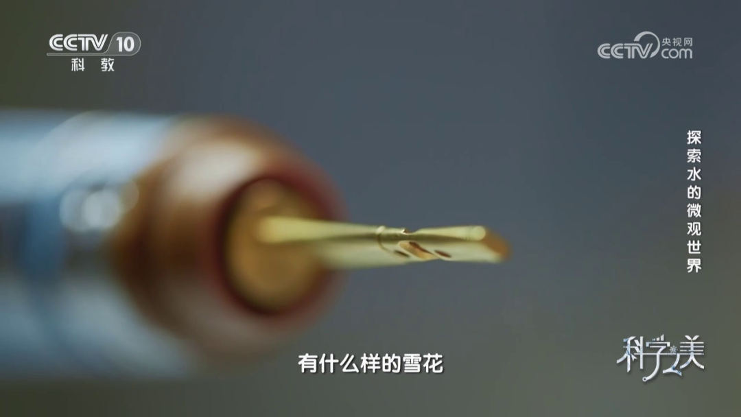 泽攸科技 泽攸科技