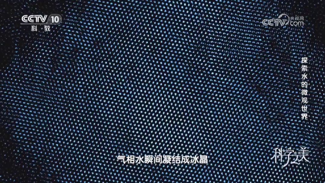 泽攸科技 泽攸科技