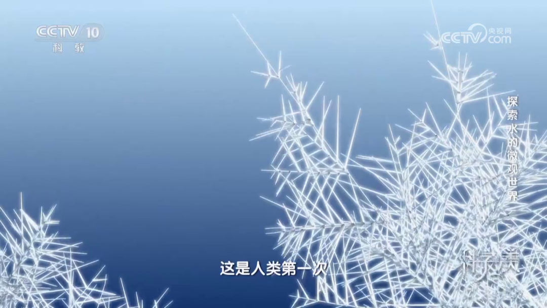 泽攸科技 泽攸科技
