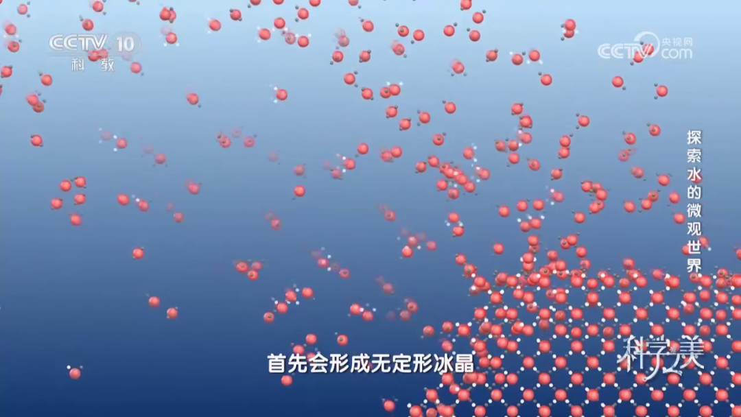 泽攸科技 泽攸科技