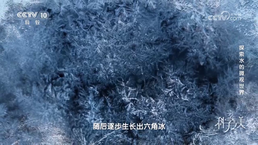 泽攸科技 泽攸科技