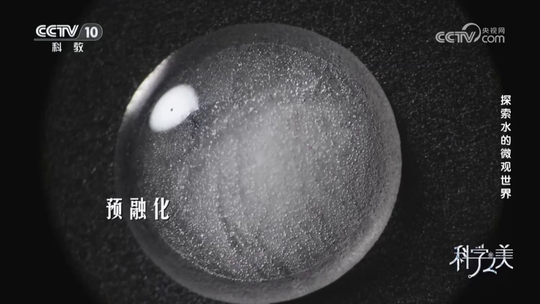 泽攸科技 泽攸科技