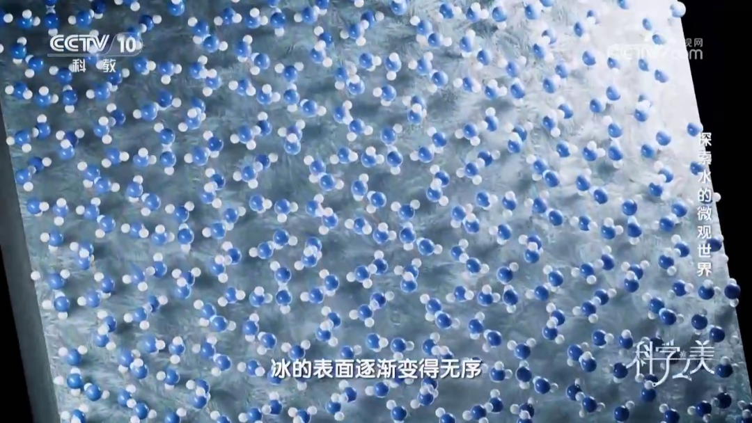 泽攸科技 泽攸科技